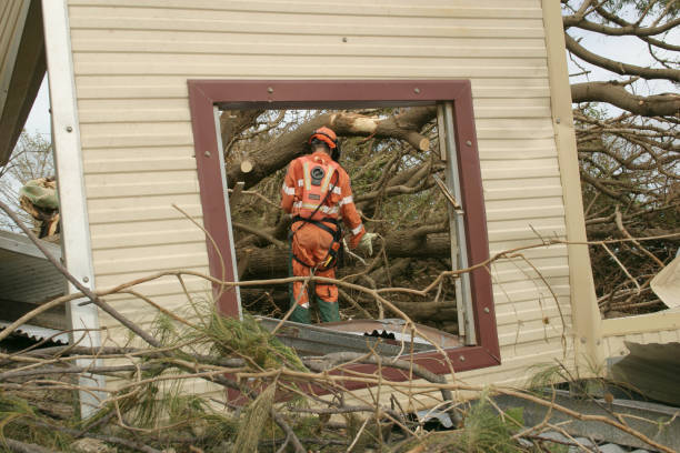 Best Tree Health Inspection  in Kenbridge, VA