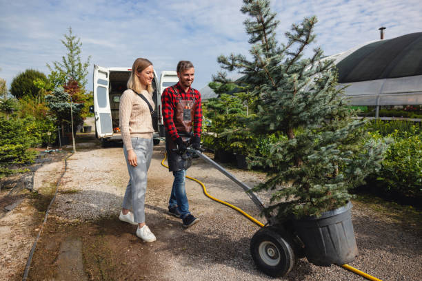 Best Root Management and Removal  in Kenbridge, VA